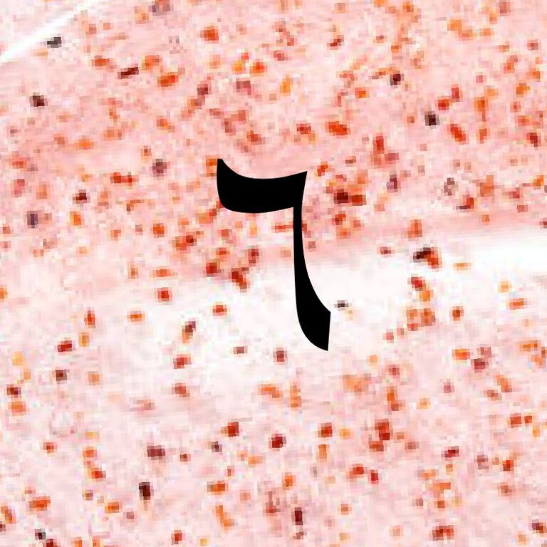 Image without a name 