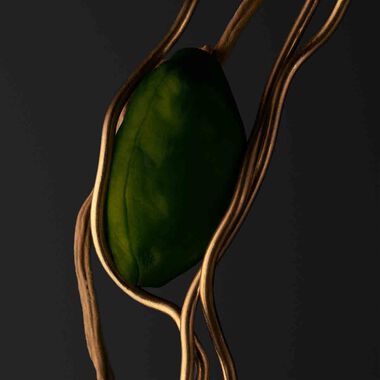 The Collection Elegant Vetiver Eau de Parfum faces the collection elegant vetiver eau de parfum