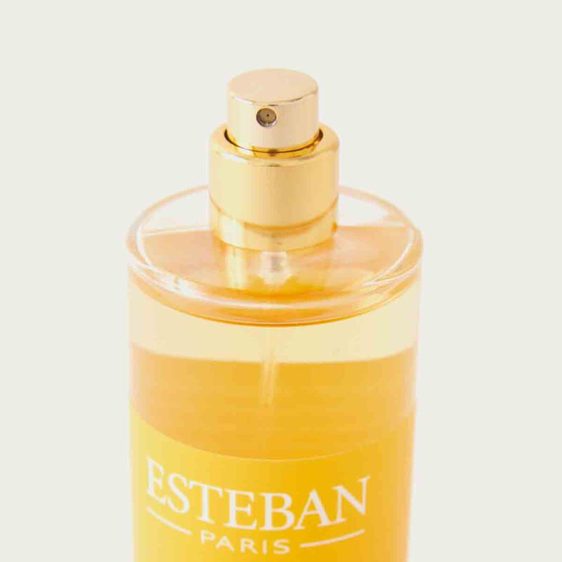esteban paris ambre room spray 100ml