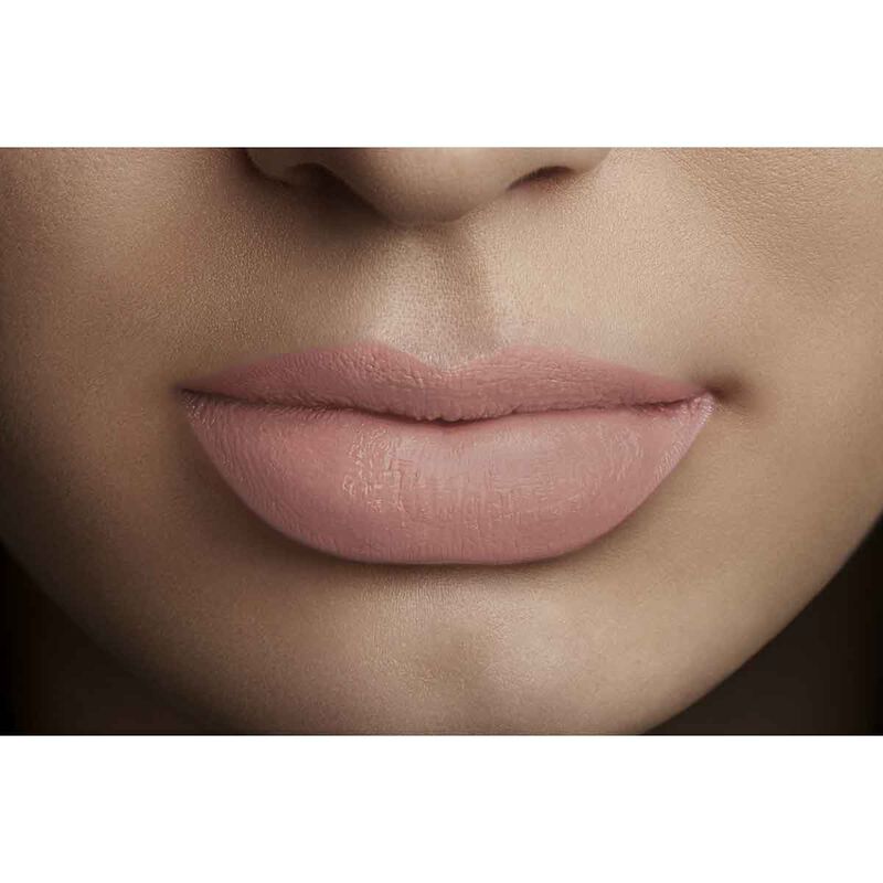 l'oreal paris rouge signature  matte lip ink