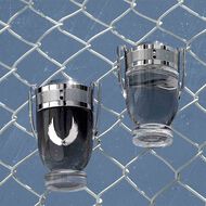 عطر إنڤيكتوس بلاتينيوم أو دو برفان faces عطر إنڤيكتوس بلاتينيوم أو دو برفان