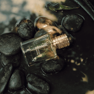 faces عطر تيهاوس ميموار