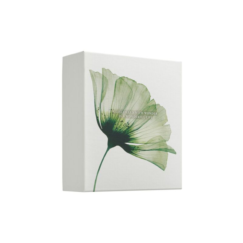 ريتوالز مجموعة ذا ريتوال أوف جينغ متوسط