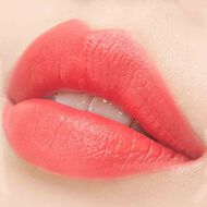 Paradise Dream Velvet Lip Mousse faces paradise dream velvet lip mousse