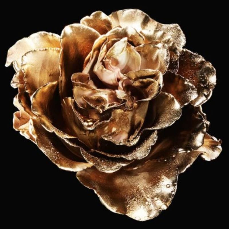 guerlain santal royal hair mist 75ml