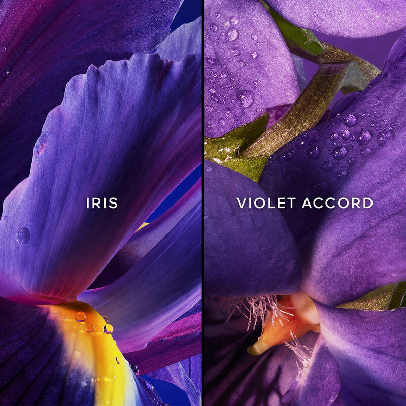 جيرلان ليه ليجاندير لور بلو