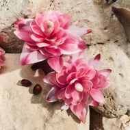 عطر لايت بلو كابري ان لوف faces عطر لايت بلو كابري ان لوف