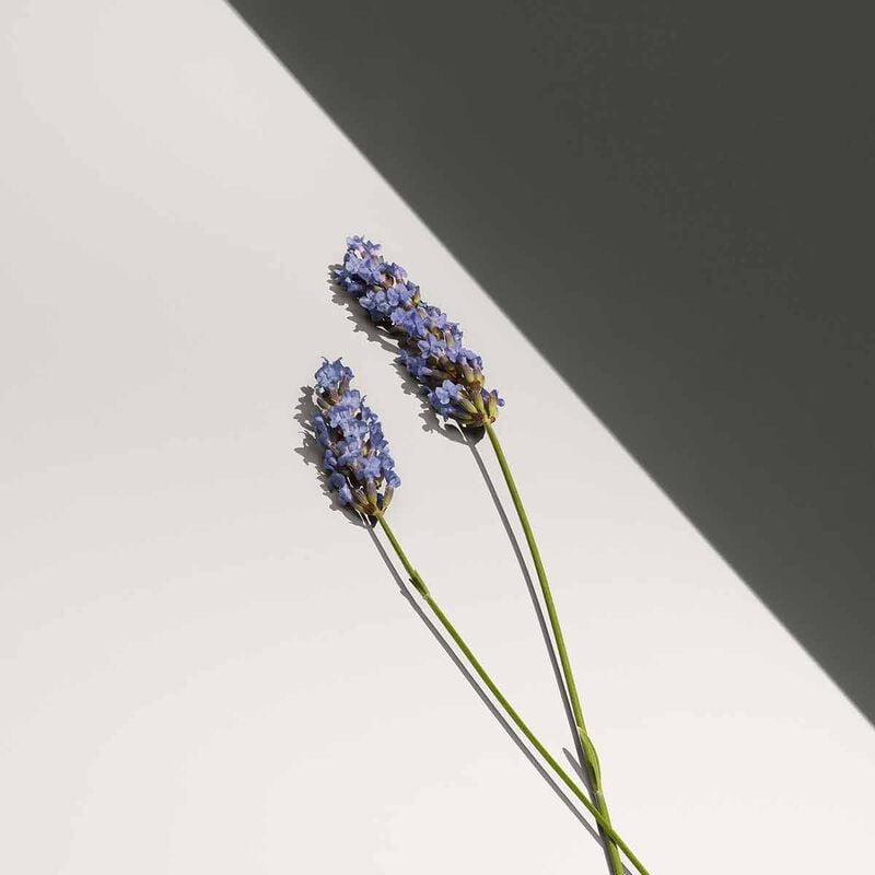 calvin klein defy eau de toilette for men