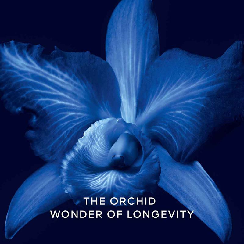 guerlain orchidee imperiale the essenceinlotion