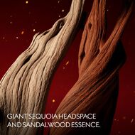 faces alchemist s garden lignum idealis