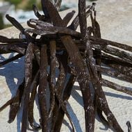 Devotion Refillable faces devotion refillable