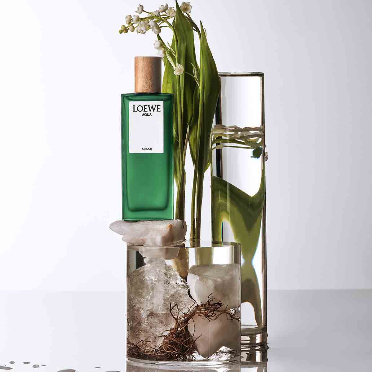 Loewe Agua Miami Eau De Toilette 100ml Eau de Toilette