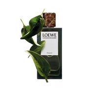 Un Paseo Por Madrid Prado faces un paseo por madrid prado