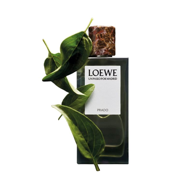 loewe un paseo por madrid prado