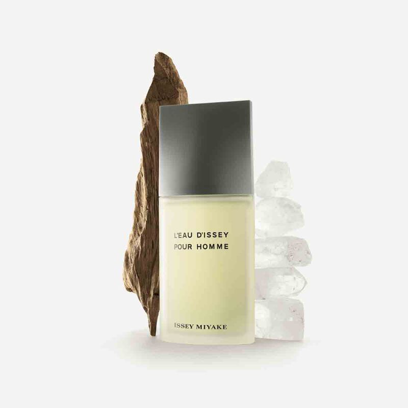 issey miyake l'eau d'issey pour homme eau de toilette gift set