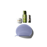 The Regenerating Radiance Collection faces the regenerating radiance collection