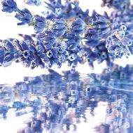 faces mon guerlain gift set