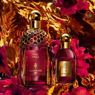faces مجموعة هدايا عطر أبسولوس أليجوريا روز أميرة