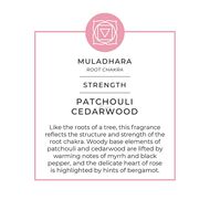 شمعة صوفي كونران مقدمة في السيراميك - القوة faces شمعة صوفي كونران مقدمة في السيراميك القوة