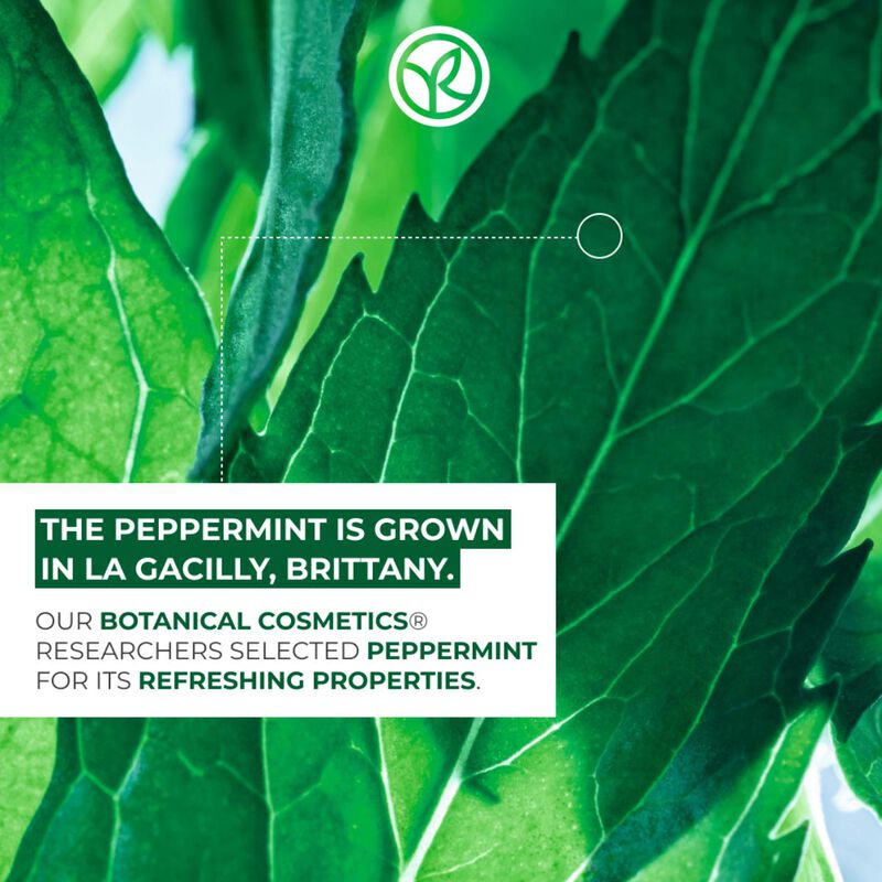 yves rocher pure menthe the purifying scrub 75ml