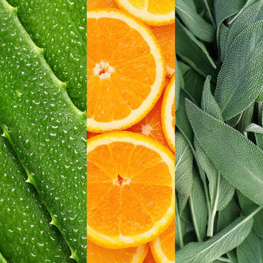 faces aloe  sage and orange blossom