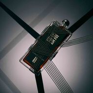 faces la dompteuse encagee