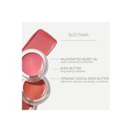 faces lip2cheek