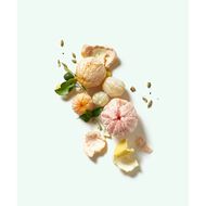 faces إن غرين مزيل العرق النباتي