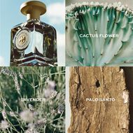 الكتريك سكاي faces الكتريك سكاي