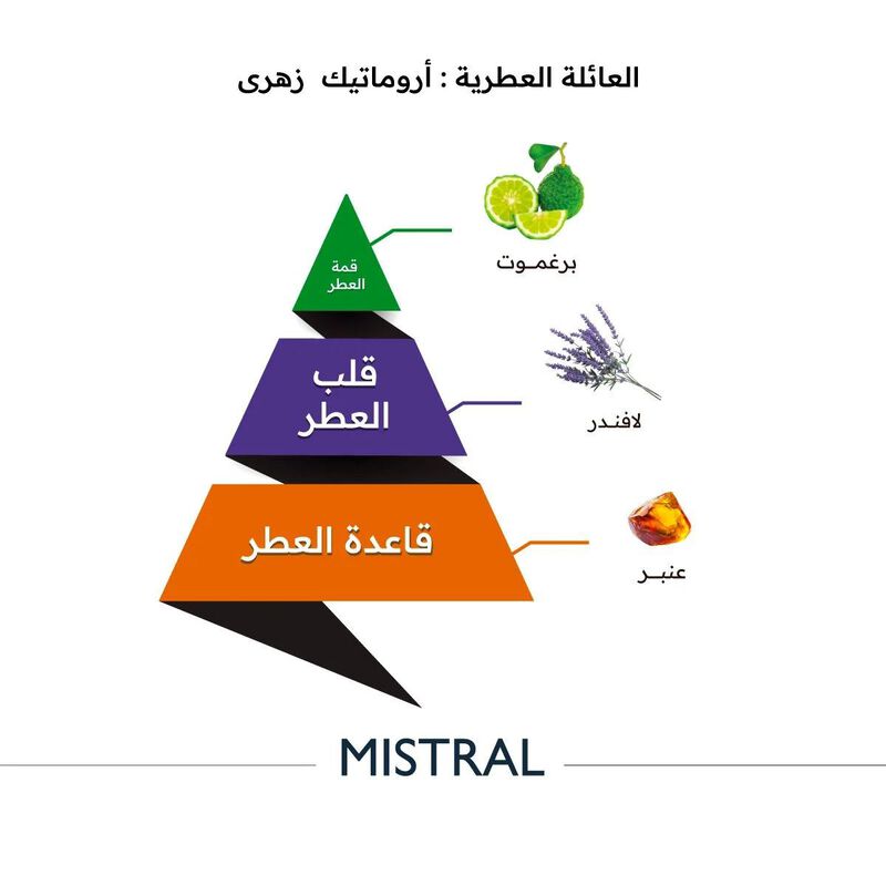 al majed for oud mistral