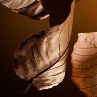 The One Parfum faces the one parfum