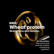 faces أبسولوت ريبير رمضان الثنائية