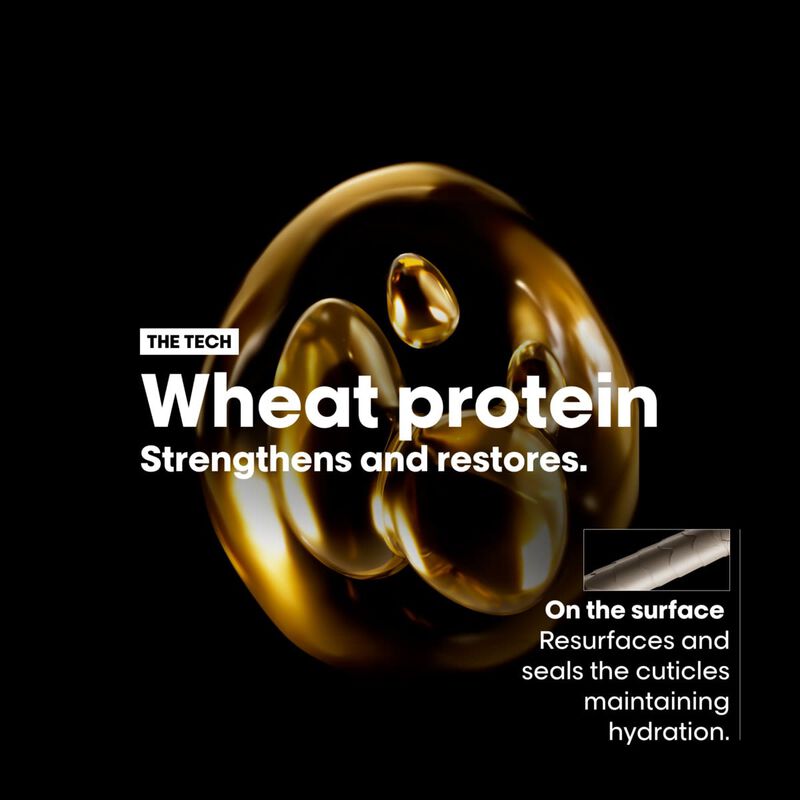 لوريال بروفشيونال أبسولوت ريبير رمضان الثنائية