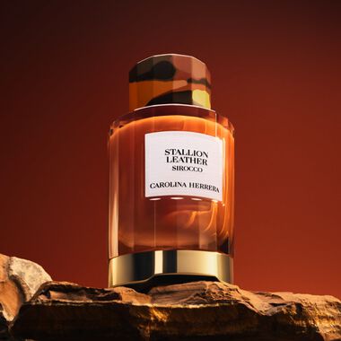 faces stallion leather sirocco