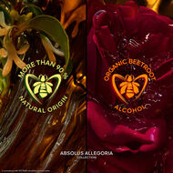 faces absolus allegoria rose amira