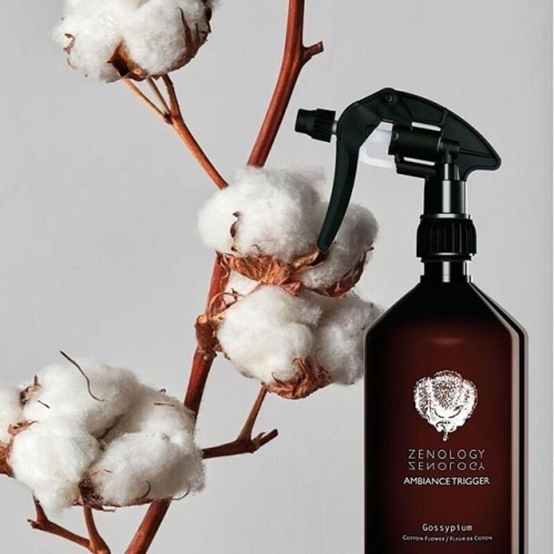 zenology gossypium cotton flower