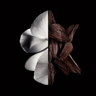 faces gentleman givenchy eau de parfum bois e