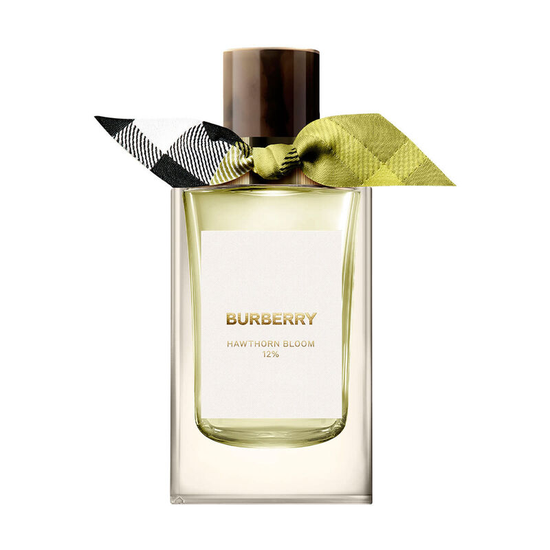 burberry signatures hawthorn bloom collectable limited edition