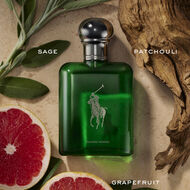 Polo Cologne Intense faces polo cologne intense