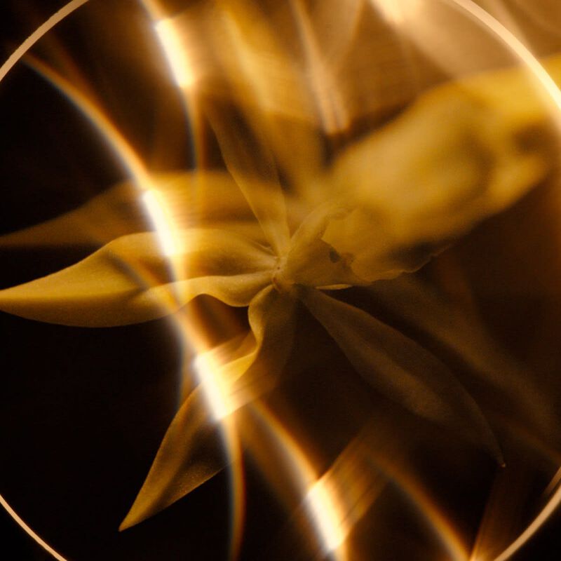 شانيل chanel sublimage l'huileengel de demaquillage مزيل الماكياج المثالي: ينظف وينعم