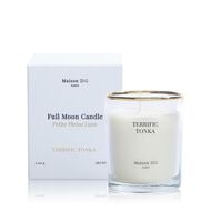 Mini Terrific Tonka faces mini terrific tonka