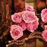 ذا ون جولد faces ذا ون جولد