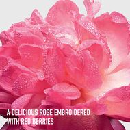 faces عطر ميس ديور أبسولوتلي بلومينغ أو  دو برفان