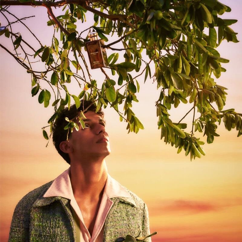 jo malone bronze wood & leather cologne intense