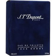 St Dupont Homme EDT Spray 100ML faces st dupont homme edt spray 100ml