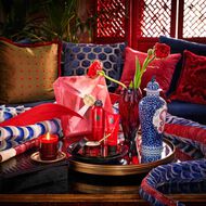 faces the ritual of ayurveda medium