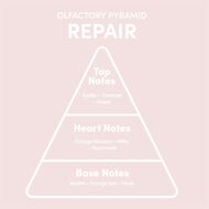 Repair faces repair