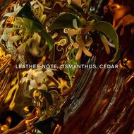 faces absolus allegoria cuir intense