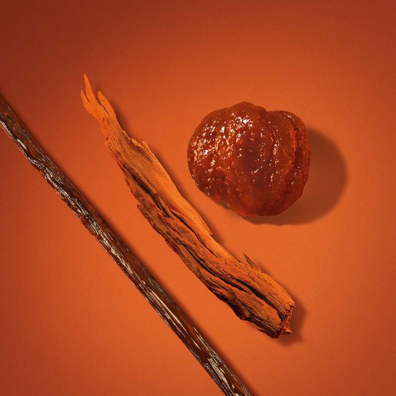 armani beauty stronger with you spices