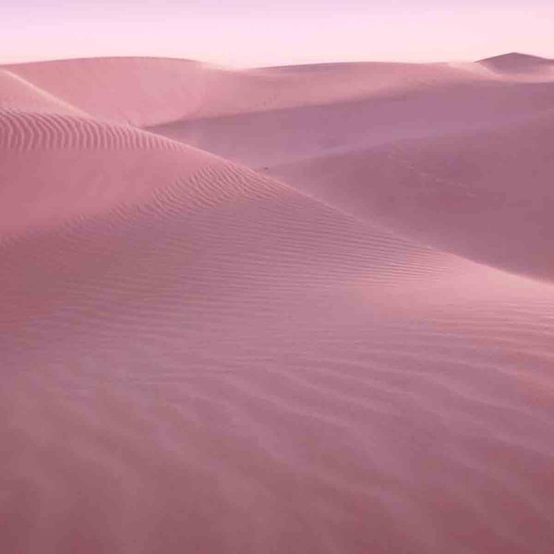 إستي لودر عطر ديزرت إيدن أو دي برفان